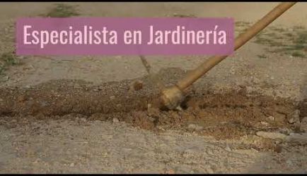 Formarte de Horticultor: salidas profesionales en las que podrás desarrollarte como profesional