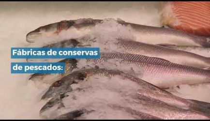 Estudiar a Distancia para ser Elaborador de Conservas de Productos de la Pesca: salidas laborales en las que ejercerás