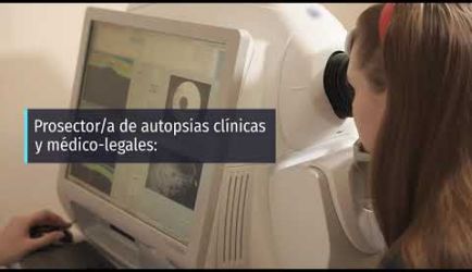 Estudiar la Formación Profesional de Anatomía Patológica y Citología: salidas laborales que encontrarás