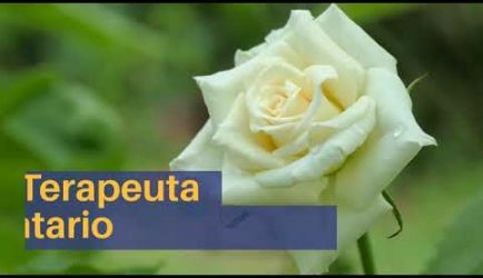 Los puestos de trabajo que ofrece el Curso de Flores de Bach al titularte