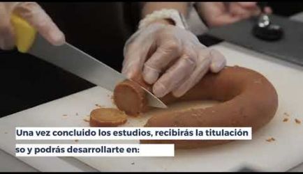 ¿Por qué estudiar el Curso de Microbiología e Higiene Alimentaria? Te mostramos las salidas laborales en las que conseguirás ejercer