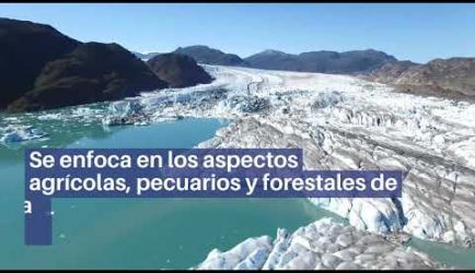 ¿Dónde puede ejercer sus funciones un titulado de la FP de Trabajos Forestales y de Conservación del Medio Natural? Te facilitamos toda la información