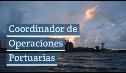 Operador de Grúas de Puerto: salidas laborales en las que ejercerás