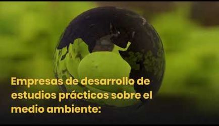 ¿Dónde puede ejercer sus funciones un titulado a Distancia de Técnico en Gestión Ambiental? Te proporcionamos todos los detalles