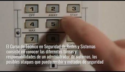 ¿Dónde puede ejercer sus funciones un graduado a Distancia de Técnico en Seguridad de Redes y Sistemas? Te damos todos los detalles