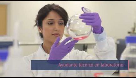 Las salidas profesionales que ofrece el Ciclo Formativo de Laboratorio Clínico y Biomédico