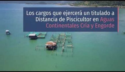 Piscicultor en Aguas Continentales Cría y Engorde: salidas laborales en las que desarrollar tu trabajo