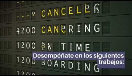 Los puestos de trabajo que ofrece el Curso a Distancia de Agente de Servicios Aeroportuarios al titularte