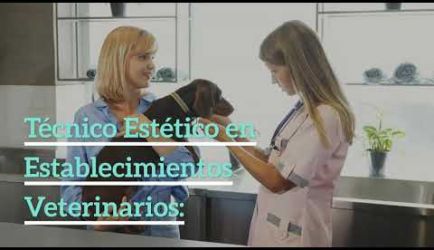 Curso de Peluquería y Estética Canina: salidas laborales en las que ejercerás