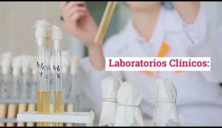 ¿Dónde puede ejercer un graduado a Distancia de Técnico en Microbiología? Te facilitamos toda la información